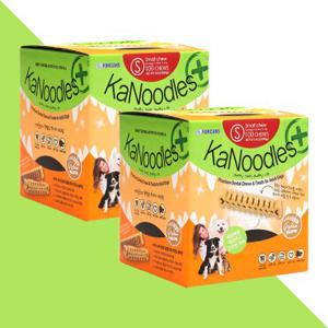 [GS단독] 포켄스 카누들 덴탈껌 S 100P X 2개