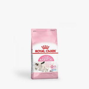 로얄캐닌 베이비캣 10kg