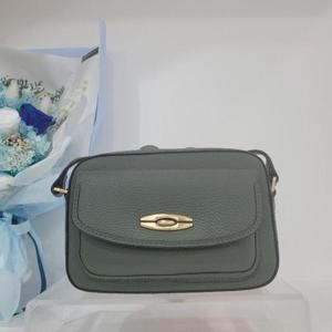 엘레강스 핸드백 M백화점 귀여운 미니크로스백, BSSH002-G