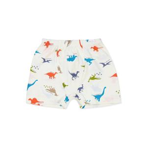 오가닉맘 마이디노남아사각팬티(가을신상품) (MKFUUP32)