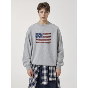 [후아유]American Flag Sweatshirt(Brushed) WHMWF4T91U