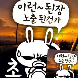 자동차스티커 이런된장노출된건가 초보 화이트 B타입