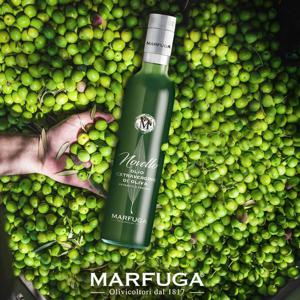 마르푸가 노벨로 엑스트라버진 올리브오일 500ml*1병