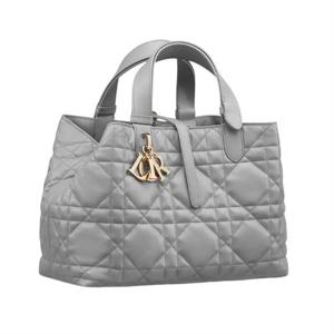 디올 Dior Toujours 미디엄 백 M2821OSNW_M62G