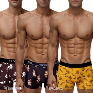 [예스]호랑이 긍정 에너지  남성 드로즈 3종택1 YSMDBB52