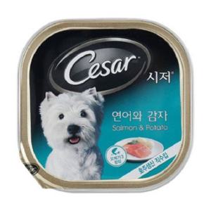 애견 시저 연어와 감자캔100g 10캔