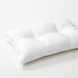 [레노마(침구)][코지네스트]네오구스볼 기능 베개솜 F(50X70)