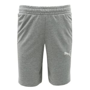 푸마반바지 ZQC 658608-33 푸마 팀골 캐쥬얼 쇼트