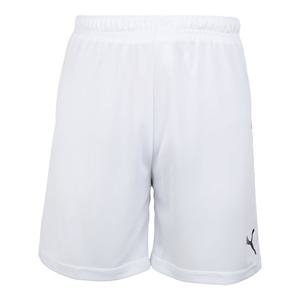 M 푸마반바지 ZQB 푸마 KK 팀 트레이닝 숏팬츠(93225203) 932252 03