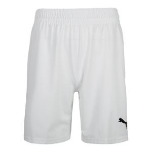 M 푸마반바지 ZQJ 705076-04 푸마 팀파이널 쇼츠 70507604