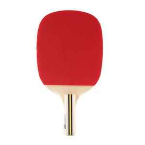 도닉 펜홀더 탁구라켓 ASIAN CHAMPIONS 500 탁구라켓 탁구 라켓 홈트 탁구채