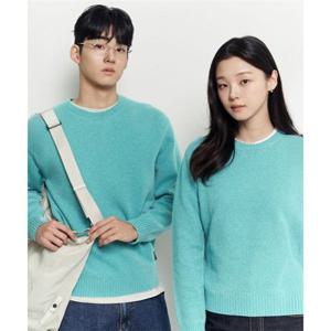 빈폴 BEANPOLE MEN 푸즈예티 라운드 니트 라이트 그린 BC5X51C50L 351391