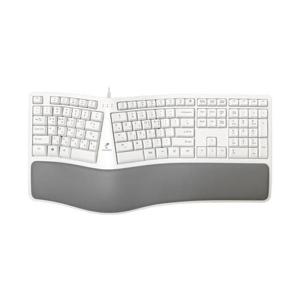 아트박스/이룸 PLEOMAX PEK-N3000 유선 인체공학 키보드 화이트