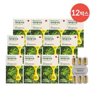 [초특가]캐나다산 황금오일 대마종자유 12박스 (총 12개월분)
