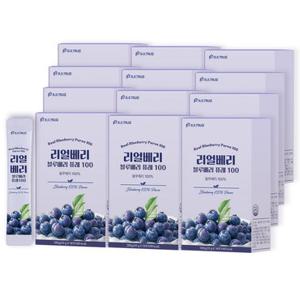 리얼베리 블루베리 퓨레 100 12박스