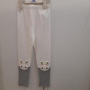 TALENTKIDS (쁘띠앙팡) HC24 PC헤이슈토시바지 PCX14GLE51