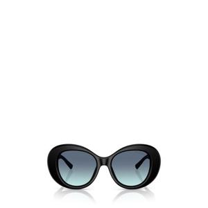 티파니앤코 선글라스 TF4228 84259S MATTE BLACK