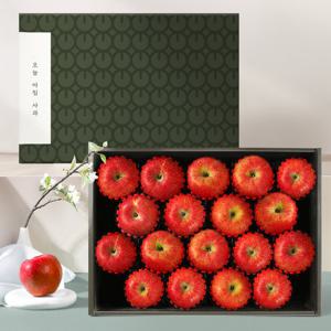 [오늘아침사과] 사과 선물세트 5kg 18과