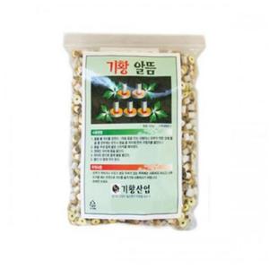 기황 알뜸 1000알 1P 쑥뜸 미니뜸 한방뜸 뜸용품 뜸쑥 뜸쑥