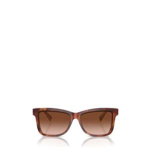 브루넬로 쿠치넬리 선글라스 BC4009S 10063B HAVANA PANAMA