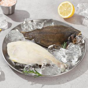 [해미래] 바다의 보배 손질 가자미 120g x 10팩