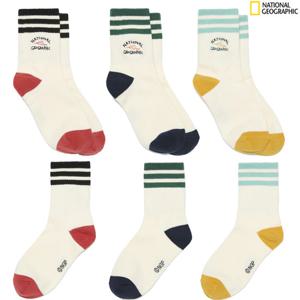 [GD 내셔널지오그래픽키즈] 전이수 콜라보 골지삭스 K253KSO030