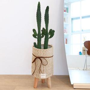 아트박스/메종텍스타일 왕골헤링 인테리어 화분커버 L