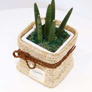 아트박스/메종텍스타일 왕골헤링 인테리어 화분커버 S