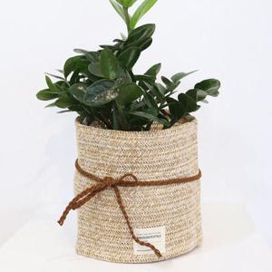 아트박스/메종텍스타일 왕골헤링 인테리어 화분커버 M