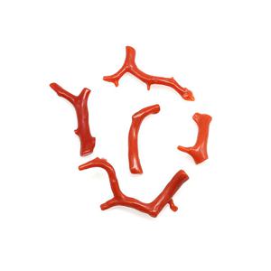 천연원석 산호원석 탄생석 악세사리재료 24ROU-233100