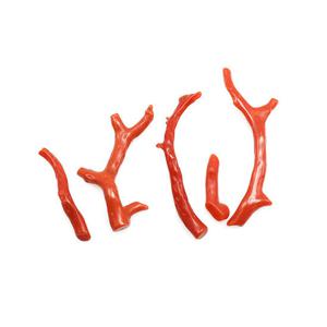 천연원석 산호원석 행운석 24ROU-233101