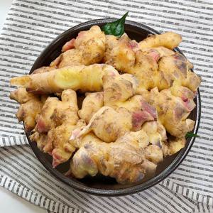 [팔도농장] 서산 태안 햇 생강 특상품 10kg