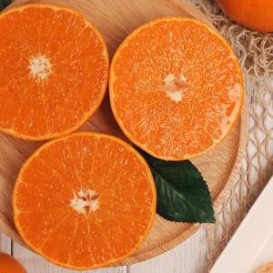 제주 천혜향 특품 중소과 4.5kg(18-41과) / 하우스 벌크포장