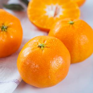 제주 레드향 가정용 4.5kg(혼합과) / 노지 벌크포장