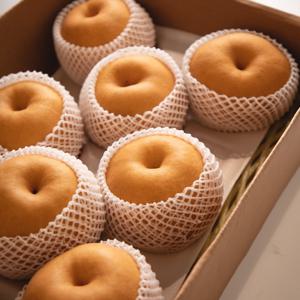 [과일꾼] 나주배 가정용 특품 5kg 8-9과