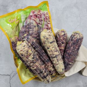 옥과농협 곡성 찐냉동 흑찰옥수수 9개 (3개입 x 3팩)