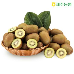 제주골드키위 3kg(과당 75∼92g)