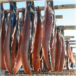 [포항 구룡포 과메기]포과메기 325g내외(10미/20쪽)-박스포장