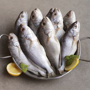 [맛군] 쫀득하고 담백한 손질 민태굴비 20마리 가정용(1마리당 150~170g)