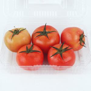 [스테비아토마토] 스윗 스테비아 단마토 2kg (1kg*2팩)