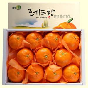 [제주직송]단맛이 꽉찬 달콤한 레드향 (12-25내)5kg
