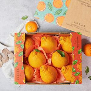 제주 한라봉 1.6kg 6-9과 과일선물세트