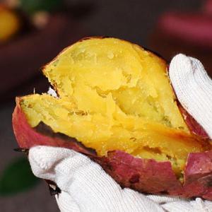 갤러리아_무안 황토 24년 햇고구마 특상 3kg (개당100~300g)