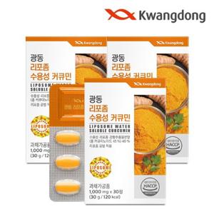 [광동] 리포좀 수용성 커큐민 3박스 / 울금 강황분말 항산화