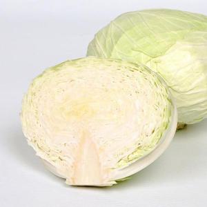 국내산 양배추 1통 대사이즈