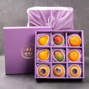 [달가온 고급 3호] 과일선물세트(배3/애플망고2/한라봉2/레드향2)