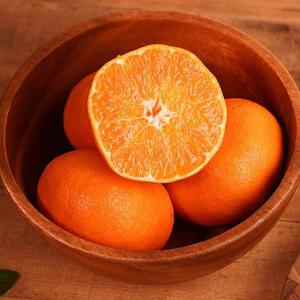 제주 고당도 레드향 중과 2.5kg 10-14과