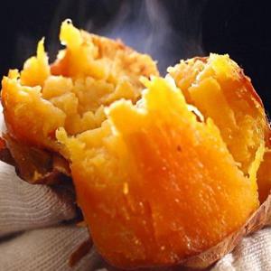 갤러리아_소리팜 25년 햇 해남 호박고구마 10kg (중상)