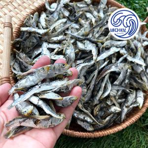 남해안 햇 건 솔치 청어(정어리) 멸치 상급 1kg (볶음 조림 육수용)
