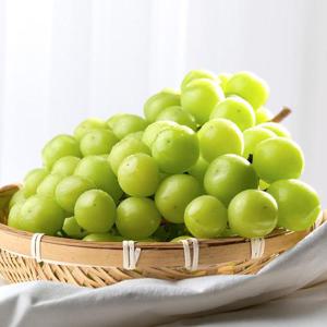 프리미엄 샤인머스캣 700g내외 (1-2수)